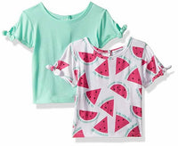 Flapdoodles Baby Girls' 2 Pack Tee's with Printed and Solid Shirt Size 24m