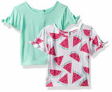 Flapdoodles Baby Girls' 2 Pack Tee's with Printed and Solid Shirt Size 24m