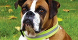 Canine Friendly Rufflective Neck Cuff Dog Collar, XX-Large