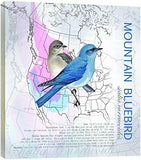 EcoArt Wall Plaque, 11.25 x 11.25 Inches, Mountain Bluebird