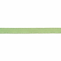 American Crafts 3/8-Inch Grosgrain with Ruffled Edges Ribbon, 2-Yard Spool, Mint
