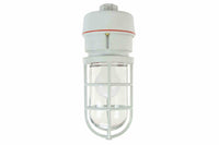 Class 1, Division 2 Chemical Resistant Incandescent Light 75 Watts Non-Metallic