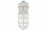 Class 1, Division 2 Chemical Resistant Incandescent Light 75 Watts Non-Metallic