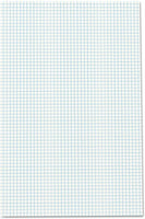 Ampad Quadrille Double Sided Pad, 11 x 17, White