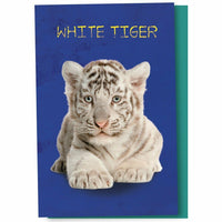 Tree-Free Greetings EcoNotes 12 Count White Tiger Notecard Set